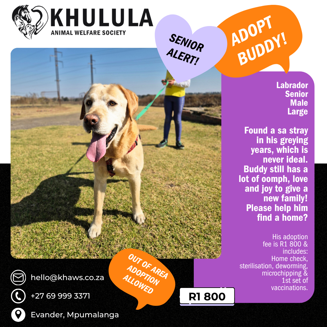 Buddy1
