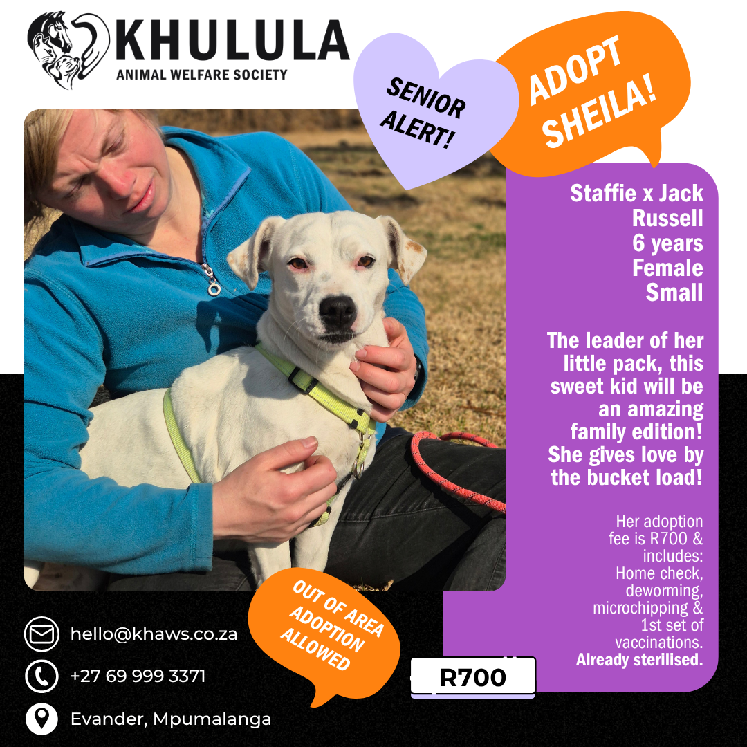 Sheila
